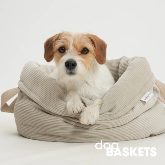 Dog Baskets [round, oval]