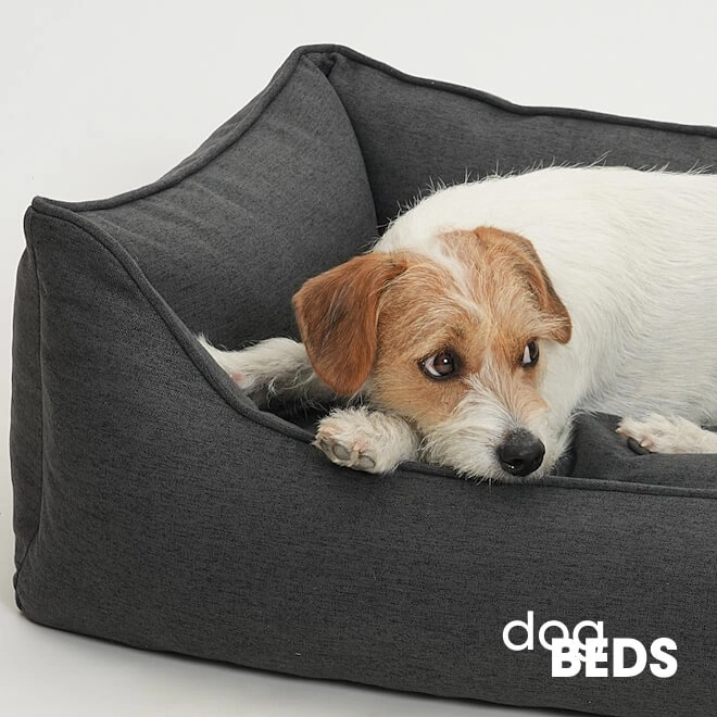 Dog Beds [angular]