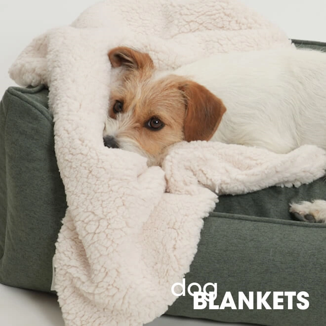 Dog Blankets & Travel Beds