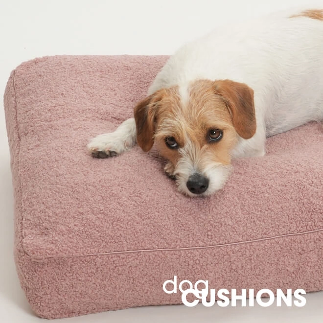 Dog Bed Cushions [without border]
